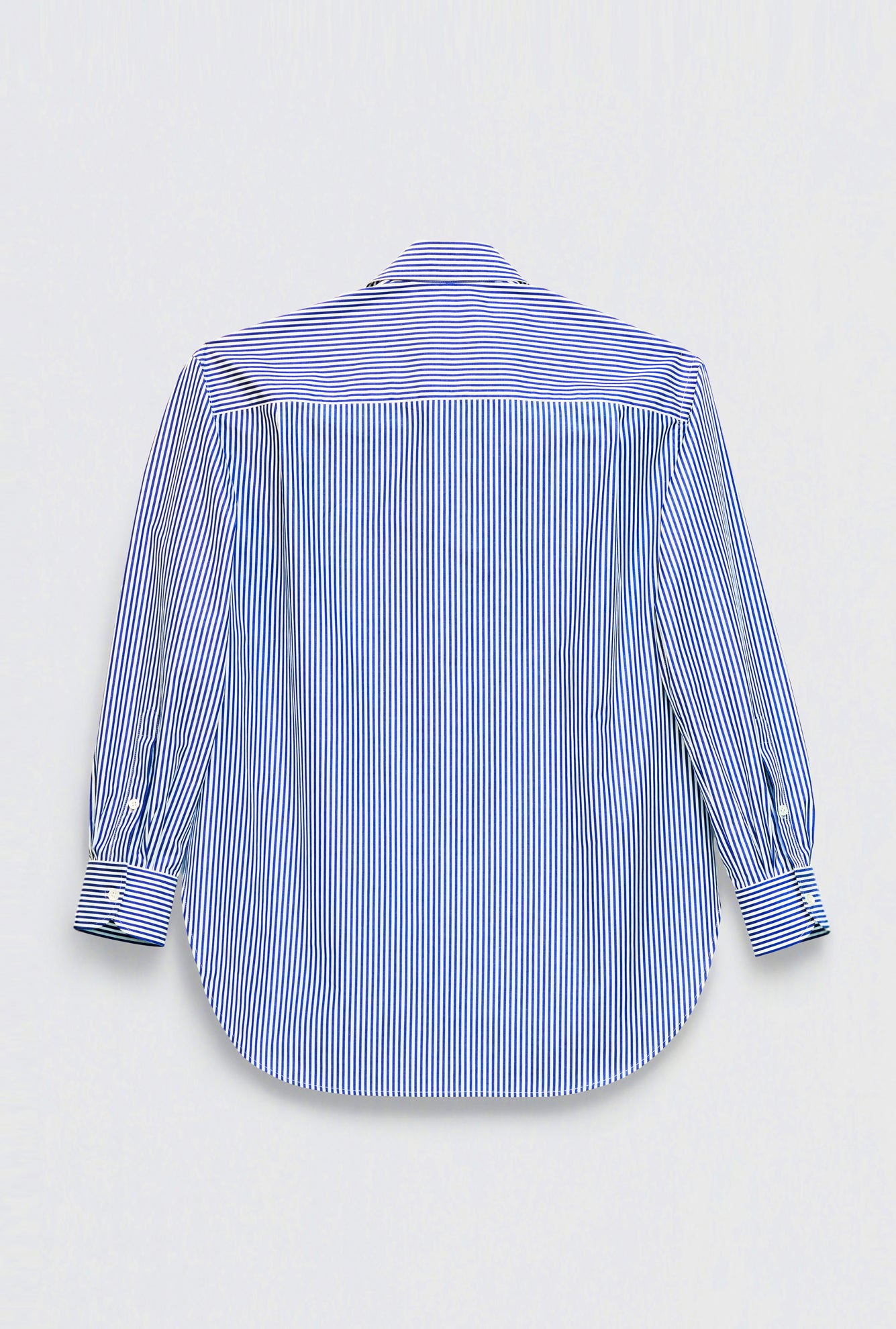 SHIRT WITH PLASTRON in blue / white cotton stripe